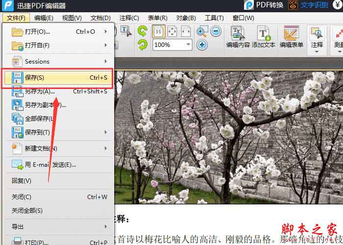 迅捷pdf编辑器如何给pdf插入新的文档页面?(图4)