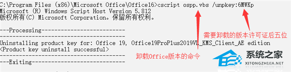 Office2019怎么降为2016版本详细教程(图3)