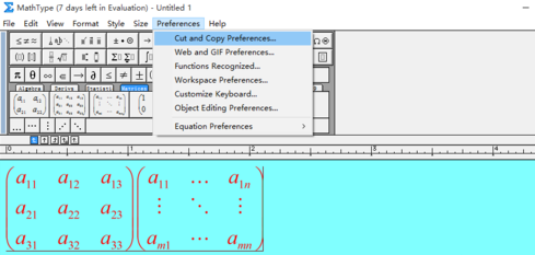 如何对MathType公式编辑器进行设置(图9) 点击Preference——Cut and copy preference界面