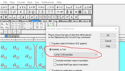 如何对MathType公式编辑器进行设置(图10) Cut and copy preference对话框
