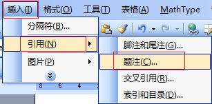MathType公式后面的Equation怎么隐藏(图2) Word插入菜单