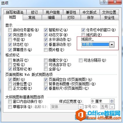 MathType公式不显示或者显示为空格怎么解决(图3) Word选项