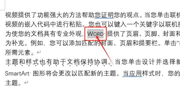 探索Word中的隐藏功能:着重号、文字隐藏与小型大写字母(图14)