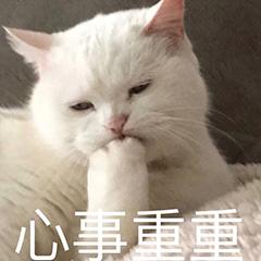 5个冷门却很实用的Word技巧,花几分钟学会,必要时候能帮你大忙(图1)