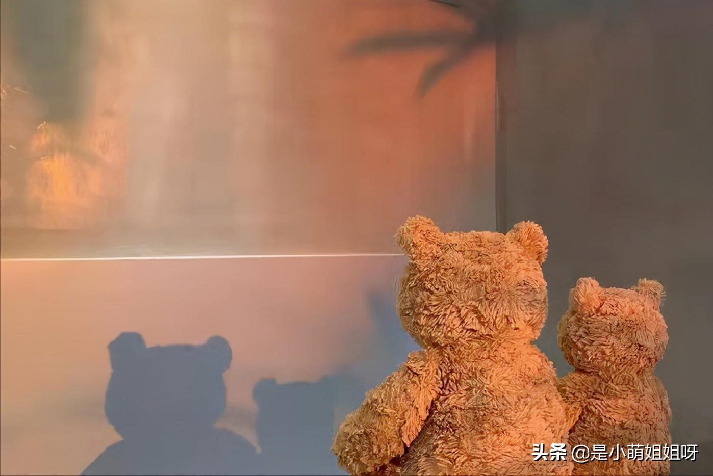 写作小白3个月就投稿变现1000元,我用到的7个过稿秘诀大公开(图3)