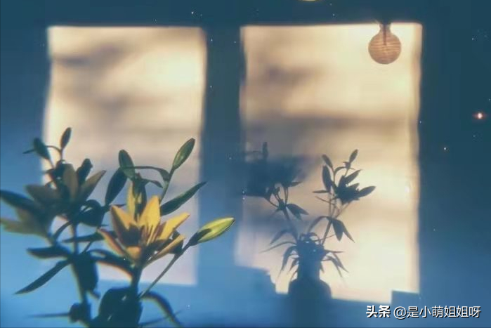 写作小白3个月就投稿变现1000元,我用到的7个过稿秘诀大公开(图2)