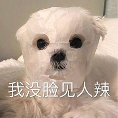 这些Word操作,明明1分钟就能搞定,你却花了半小时?难怪老加班(图1)