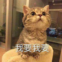 1分钟学会4个Word排版技巧,从此不再求人,工作效率翻10倍(图1)