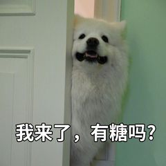 表格也能用Word做?别不信,利用这些小技巧分分钟做出完美表格(图7)