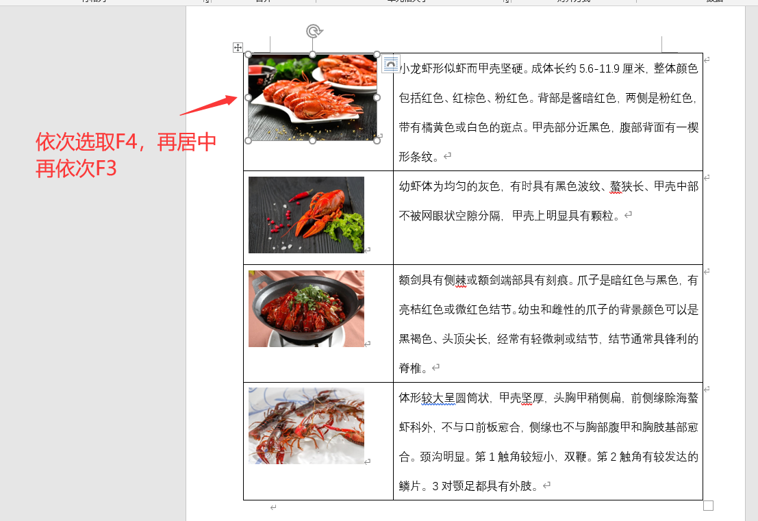word图文混排技巧,批量图片对齐调整,文字布局排版超轻松(图7)