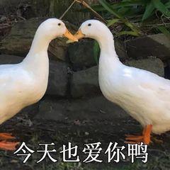 用Word没法做表格?别傻了,这些强大的Word表格技巧就能轻松搞定(图7)