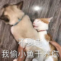 60个必备实用的Word快捷键,赶紧学起来,让你的Word溜到飞起(图7)