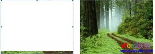 Word2007图片显示不全解决方法(图1) Word2007图片显示不全解决方法
