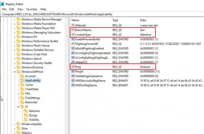 如何在不符合条件设备上接收首批Windows 11版本更新?(图3) Windows 11版本更新