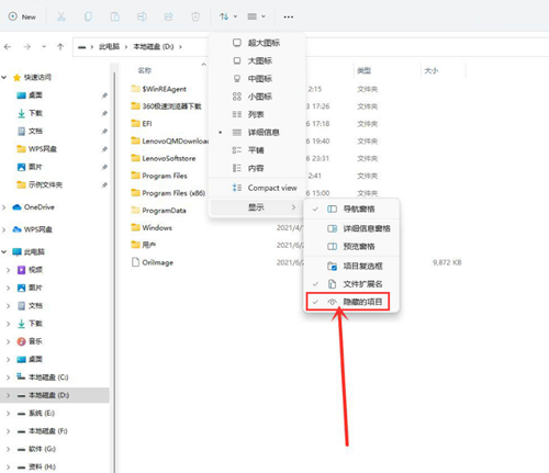 Win11如何查看隐藏文件?Win11查看隐藏文件的方法(图3) Win11如何查看隐藏文件?