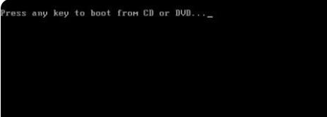 Win11系统能在vm上安装吗?Win11系统能否在vm上安装详细介绍(图11) Win11系统能否在vm上安装