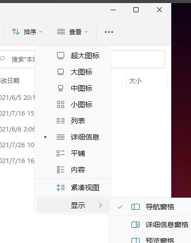 Win11怎么显示隐藏的文件?Win11显示隐藏文件的方法(图3) Win11显示隐藏文件的方法