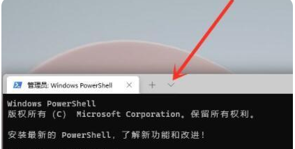 Win11命令提示符怎么打开 Win11命令提示符打开方法(图3) Win11命令提示符怎么打开