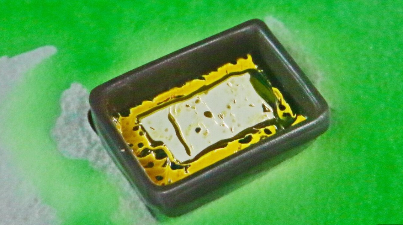 !bin/bash脚本究竟有何神秘之处？30字长尾疑问标题，揭秘!bin/bash背后的编程奥秘！